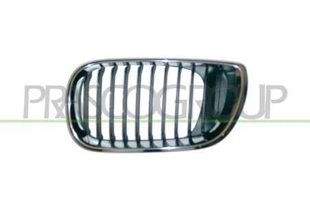 Grila radiator Prasco BM0202004