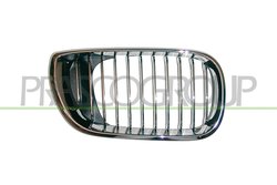 GRILA RADIATOR PRASCO BM0202013 - Compatibil cu BMW