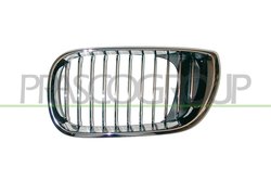 Grila radiator Prasco BM0202014