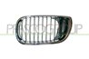 Grila radiator Prasco BM0202014