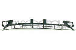 GRILA VENTILATIE, BARA PROTECTIE PRASCO BM0202120 - Compatibil cu BMW