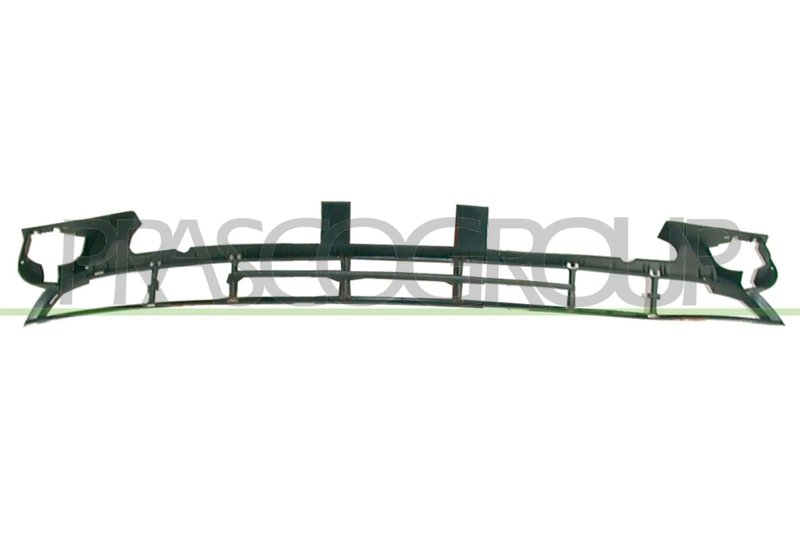 GRILA VENTILATIE, BARA PROTECTIE PRASCO BM0202120 - Compatibil cu BMW