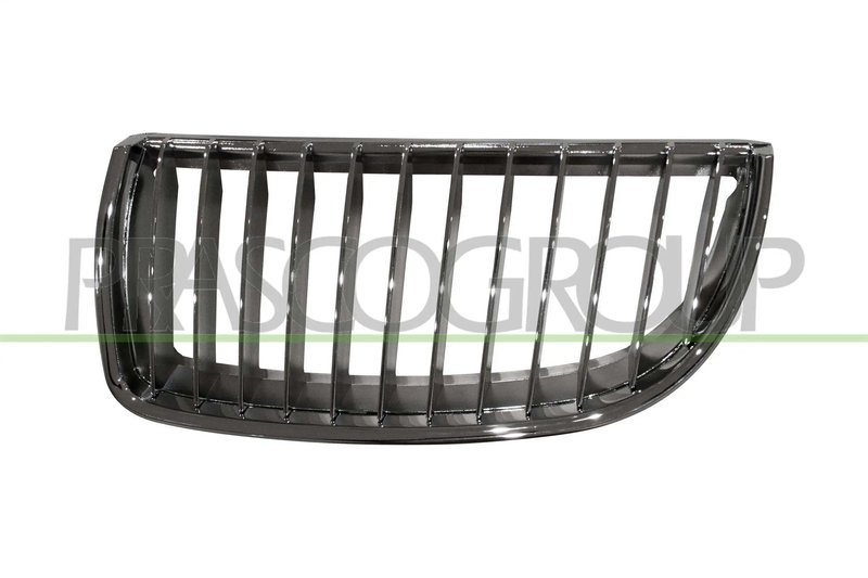 Grila radiator Prasco BM0242004