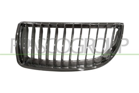 Grila radiator Prasco BM0242004