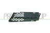 GRILA VENTILATIE, BARA PROTECTIE PRASCO BM0242124 - Compatibil cu BMW