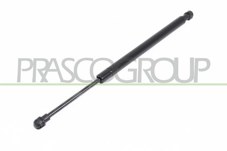 AMORTIZOR PORTBAGAJ PRASCO BM0249055 - Compatibil cu BMW