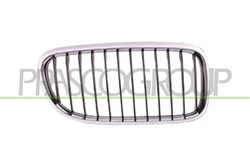 Grila radiator Prasco BM0262003