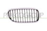 Grila radiator Prasco BM0262003