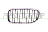 GRILA RADIATOR PRASCO BM0262004 - Compatibil cu BMW