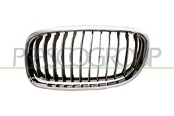 Grila radiator Prasco BM0262014