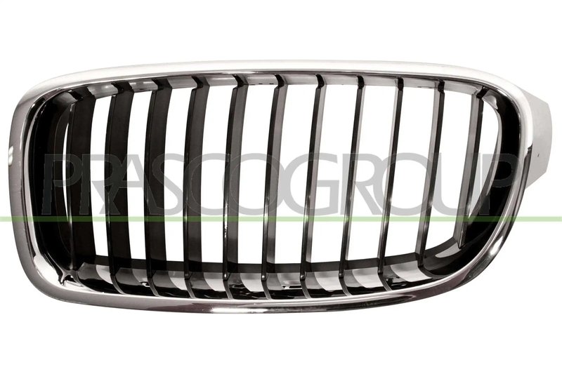 Grila radiator Prasco BM0282004