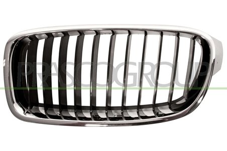 Grila radiator Prasco BM0282004