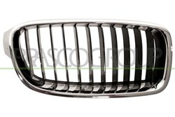 Grila radiator Prasco BM0282003