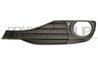 GRILA VENTILATIE, BARA PROTECTIE PRASCO BM0282124 - Compatibil cu BMW