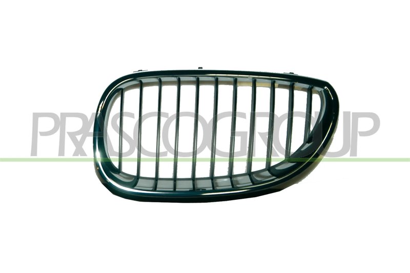 Grila radiator Prasco BM0462004