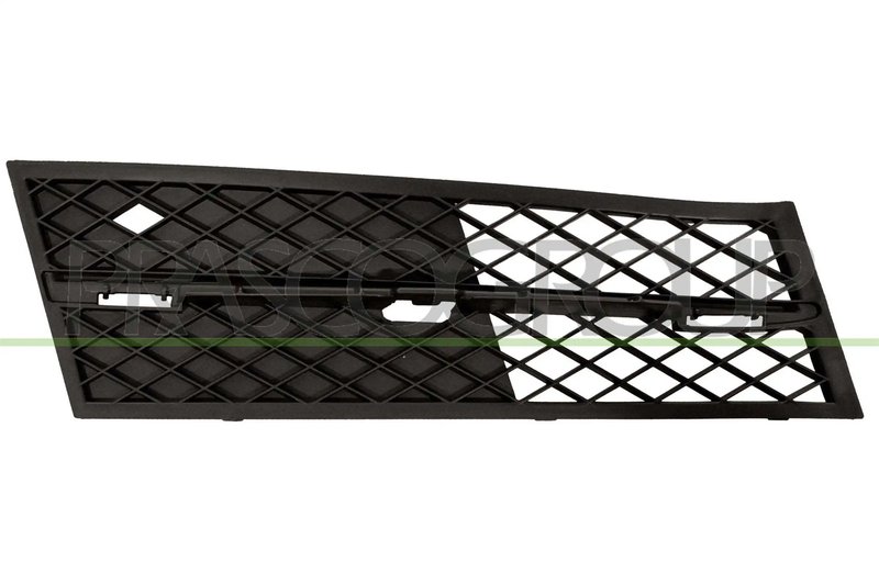 GRILA VENTILATIE, BARA PROTECTIE PRASCO BM0482133 - Compatibil cu BMW