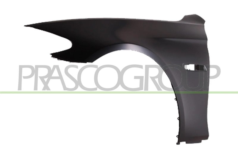 ARIPA PRASCO BM0483024 - Compatibil cu BMW