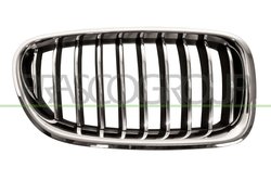 Grila radiator Prasco BM0502003