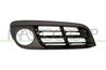 GRILA VENTILATIE, BARA PROTECTIE PRASCO BM0502133 - Compatibil cu BMW