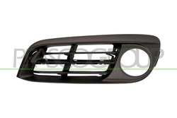 GRILA VENTILATIE, BARA PROTECTIE PRASCO BM0502134 - Compatibil cu BMW