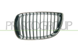 Grila radiator Prasco BM1202004