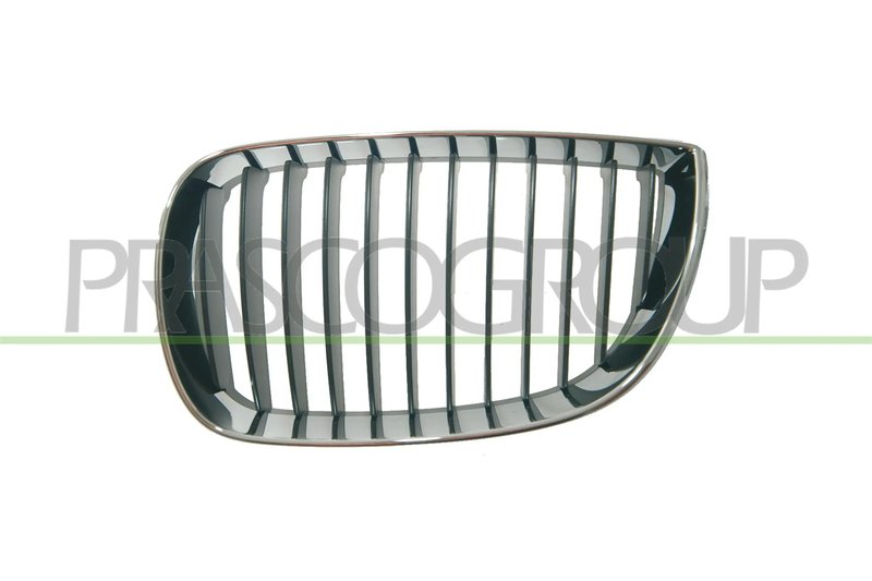 Grila radiator Prasco BM1202004