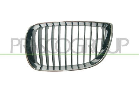Grila radiator Prasco BM1202004