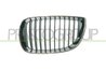 Grila radiator Prasco BM1202004