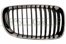 Grila radiator Prasco BM1212003