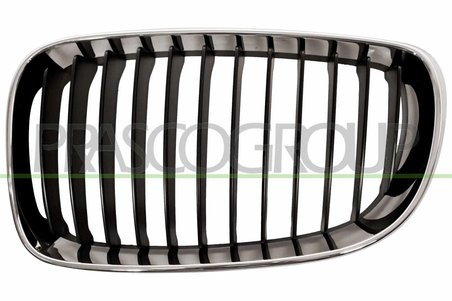 GRILA RADIATOR PRASCO BM1212004 - Compatibil cu BMW