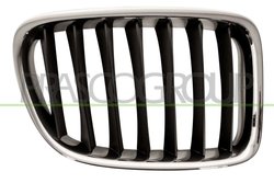 Grila radiator Prasco BM7022023