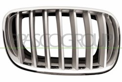 Grila radiator Prasco BM8222013