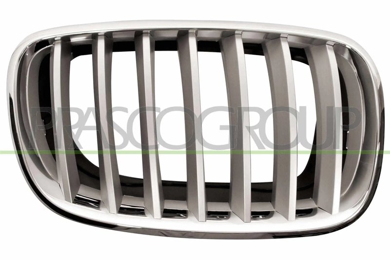 GRILA RADIATOR PRASCO BM8222013 - Compatibil cu BMW