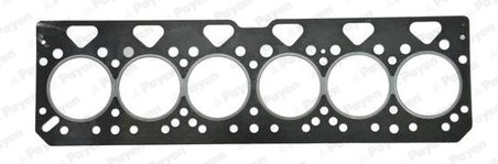 GARNITURA CHIULOASA PAYEN BR530 - Piesa auto compatibila cu mai multe marci