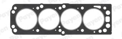 GARNITURA CHIULOASA PAYEN BS260 - Compatibil cu BEDFORD, CHEVROLET, DAEWOO, FSO, OPEL, VAUXHALL, ZAZ