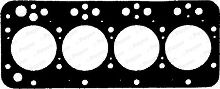 GARNITURA CHIULOASA PAYEN BV520 - Compatibil cu ASHOK LEYLAND, IVECO, NEW HOLLAND