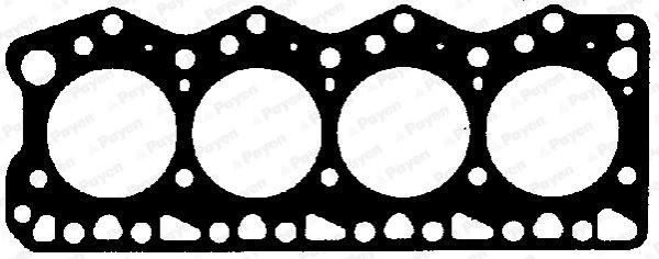 Garnitura chiuloasa Payen BX421