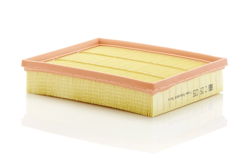 FILTRU AER MANN-FILTER C 25 035 - Compatibil cu FORD, FORD USA