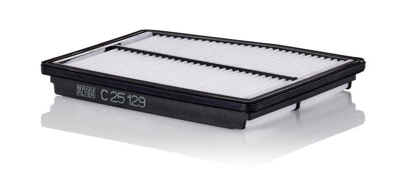 FILTRU AER MANN-FILTER C 25 129 - Compatibil cu HYUNDAI, KIA