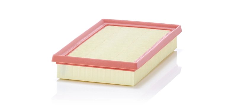 Filtru aer Mann-Filter C 27 063