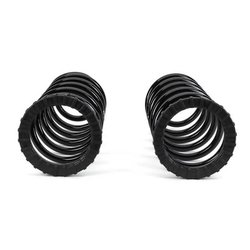 Set suspensie, arcuri elicoidale Arnott C-2410