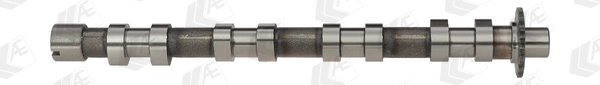 AX CU CAME AE CAM748 - Compatibil cu CITROEN, FIAT, FORD, FORD AUSTRALIA, LANCIA, PEUGEOT, SUZUKI, VOLVO