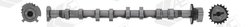Ax cu came AE CAM981