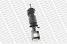 Amortizor suspensie cabina Monroe CB0070