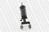 AMORTIZOR SUSPENSIE CABINA MONROE CB0118 - Compatibil cu RENAULT TRUCKS, VOLVO