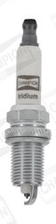 Bujie Champion CCH9202