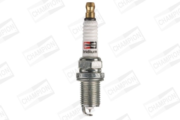 Bujie Champion CCH9802