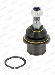 Pivot Moog CH-BJ-10677