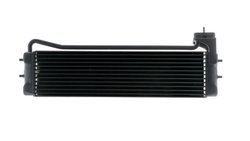Radiator ulei / termoflot MAHLE CLC 110 000P