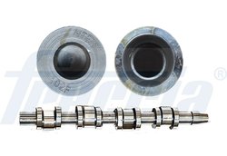 Ax cu came Freccia CM05-2181